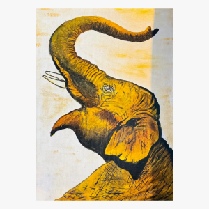 Majestic Gaze: Sri Lankan Elephant Portrait